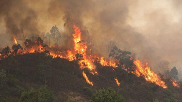 Масштабный пожар в Португалии: к тушению привлечены 225 машин и авиация