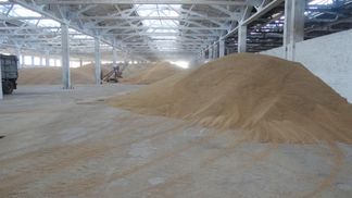 Черкаських прокурорів звинувачують у спробі рейдерства сільгосппідприємства