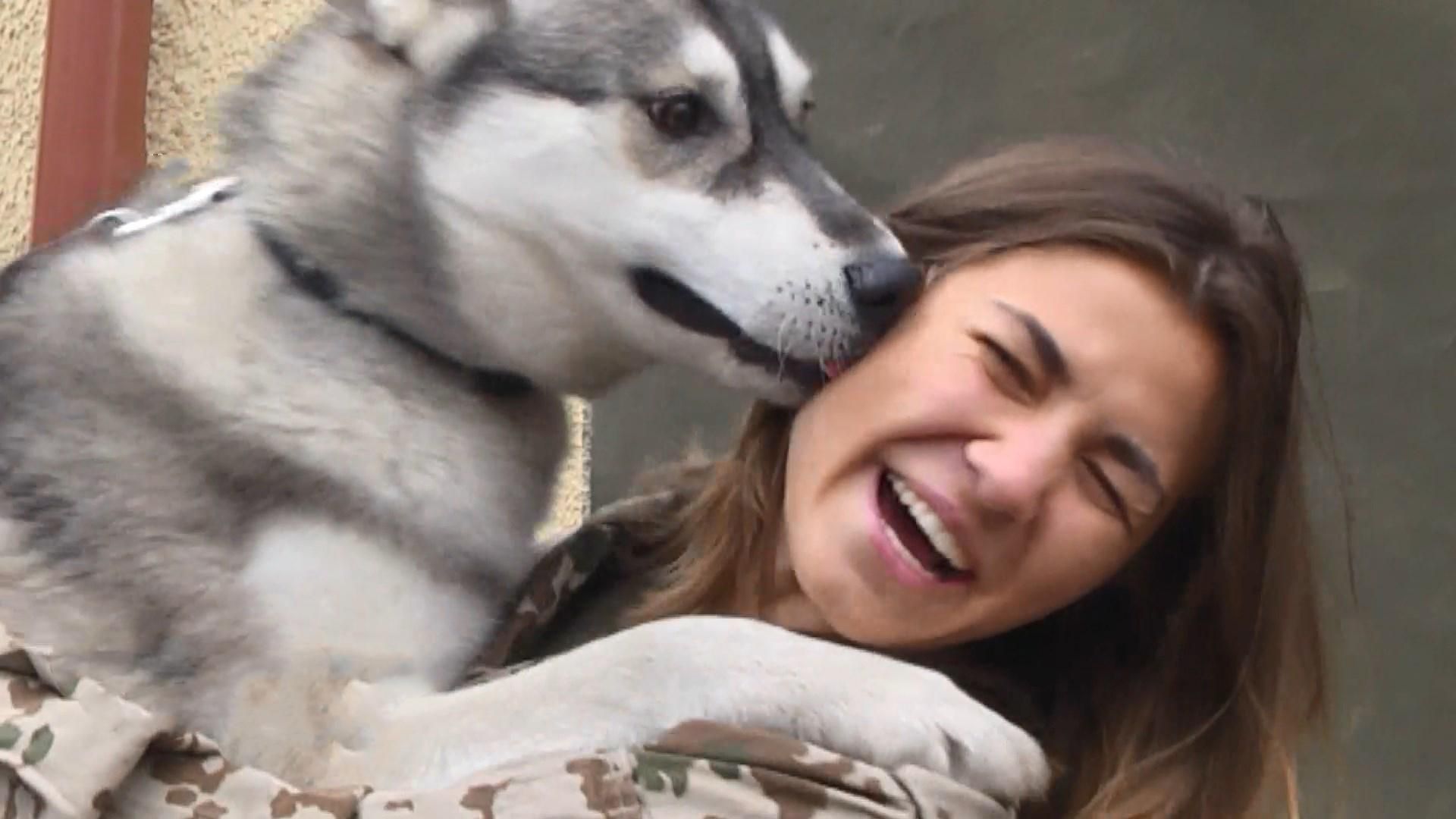 Українські захисники знялись з безпритульними собаками, аби врятувати їм життя: милі фото Українські захисники знялись з безпритульними собаками, аби врятувати їм життя: милі фото