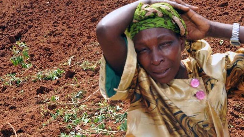 Страшна стихія вдарила по Уганді: понад 30 загиблих 