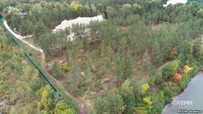 вирубка дерев злочевський