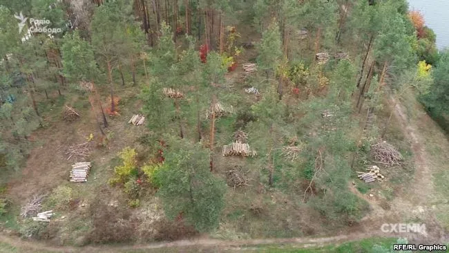 вирубка дерев злочевський вирубка дерев злочевський