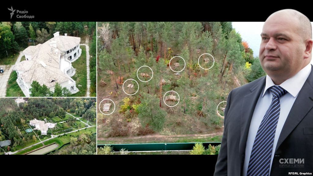 Журналисты обнаружили возле поместья экс-министра экологии Злочевского вырубку леса