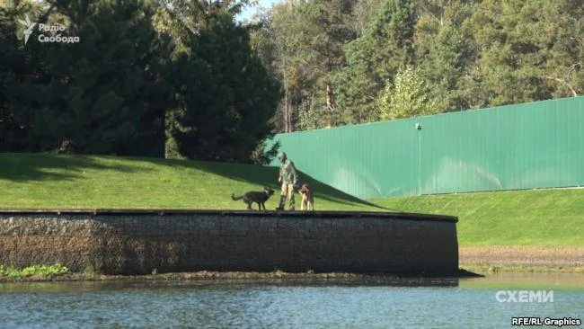 злочевський вирубка дерев