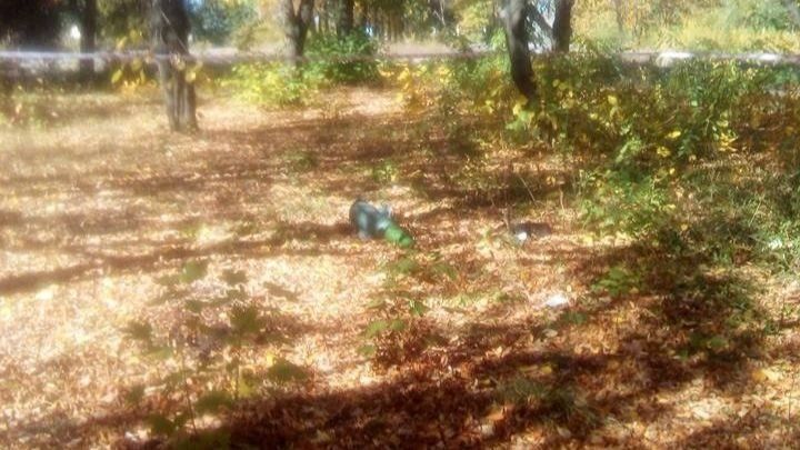 В Лисичанске часть ракеты упала на двор школы: эвакуировали почти 700 детей – фото В Лисичанске часть ракеты упала на двор школы: эвакуировали почти 700 детей – фото