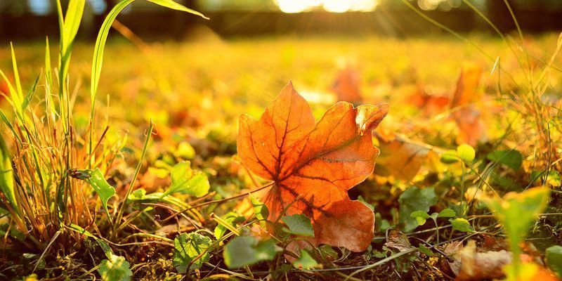 Погода 13 жовтня 2018 Україна: тепло та сонячно вдень - синоптик Погода 13 жовтня 2018 Україна: тепло та сонячно вдень - синоптик