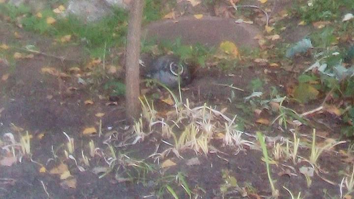 Чому ракета впала на подвір'я школи у Лисичанську: версія військових Чому ракета впала на подвір'я школи у Лисичанську: версія військових