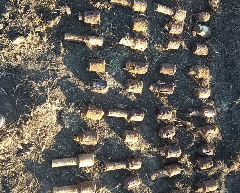 Мінне поле на городі: на Харківщині у приватній садибі виявили понад 200 снарядів – фото