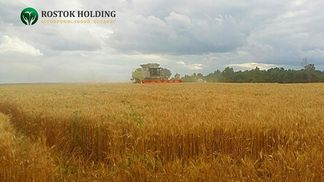 "Росток-Холдинг" просить Президента України втрутитися та допомогти відновити роботу