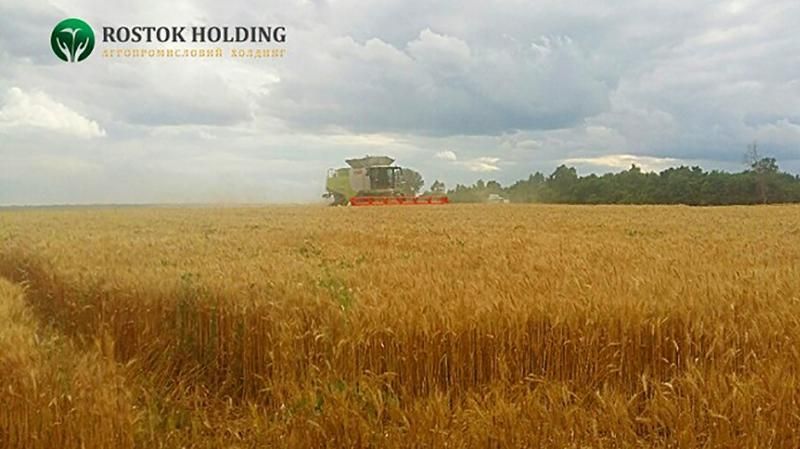 "Росток-Холдинг" просит Президента Украины вмешаться и помочь восстановить работу "Росток-Холдинг" просит Президента Украины вмешаться и помочь восстановить работу