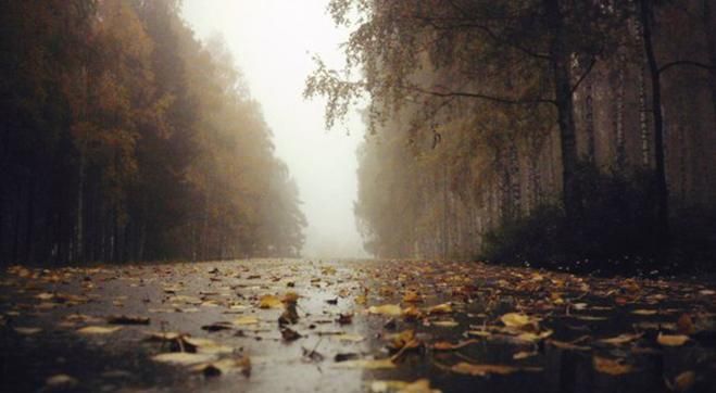 Когда похолодает в Украине 2018: прогноз синоптика Когда похолодает в Украине 2018: прогноз синоптика