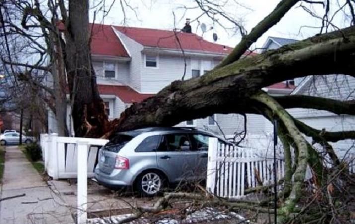 Кількість загиблих від урагану "Майкл" у США збільшилася Кількість загиблих від урагану "Майкл" у США збільшилася