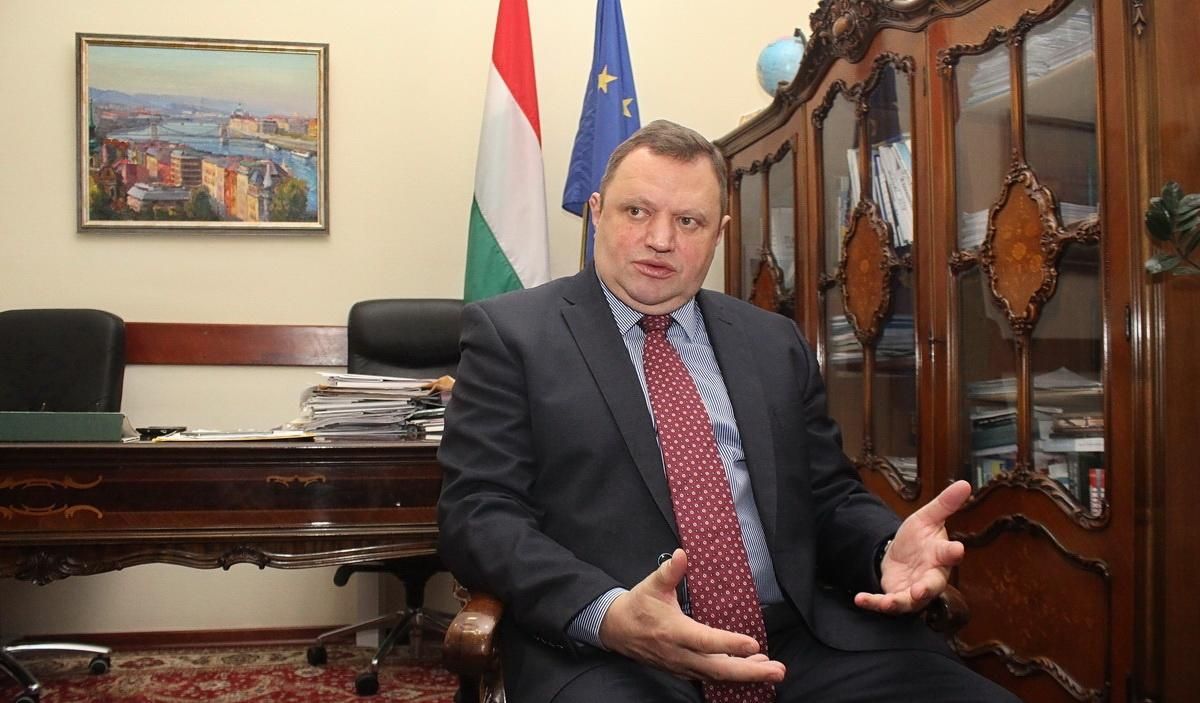 "Консул діяв законно": посол Угорщини зробив заяву про паспортний скандал на Закарпатті