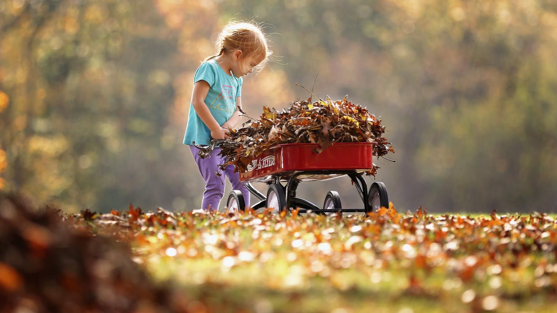 Погода 18 жовтня 2018 Україна - синоптик обіцяє тепло та сонце Погода 18 жовтня 2018 Україна - синоптик обіцяє тепло та сонце