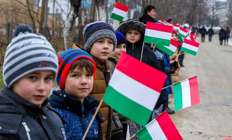 Венгрия выделила кругленькую сумму на образование Закарпатья