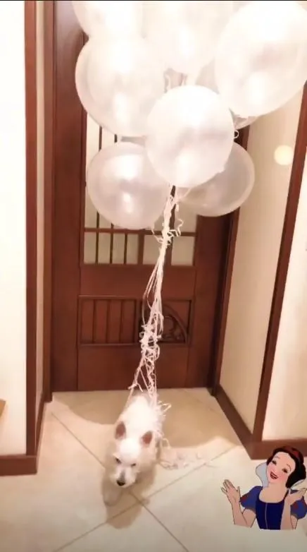 леся нікітюк леся нікітюк