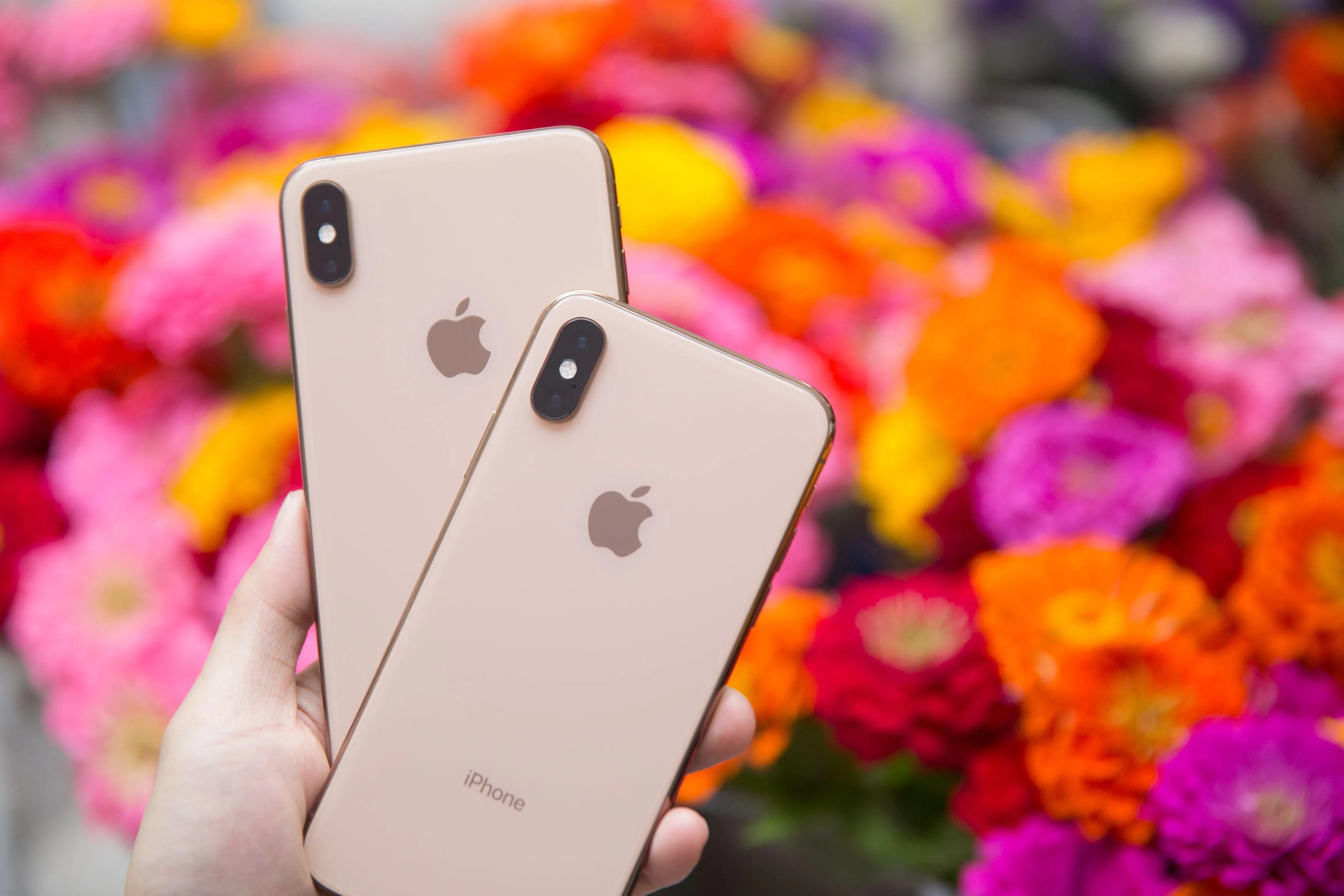 Xs та iPhone Xs Max