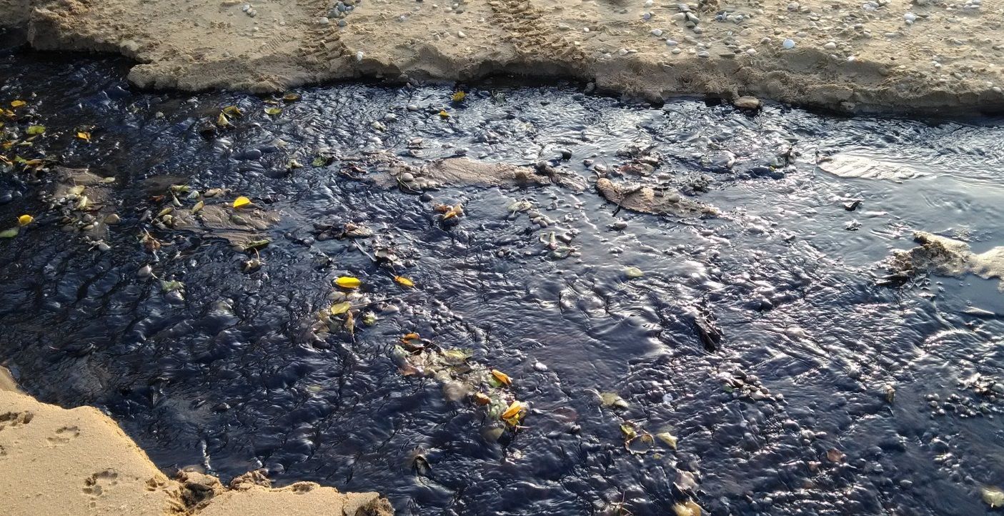 В оккупированном Крыму завод выбрасывает отходы прямо в море: в сети появились фото В оккупированном Крыму завод выбрасывает отходы прямо в море: в сети появились фото