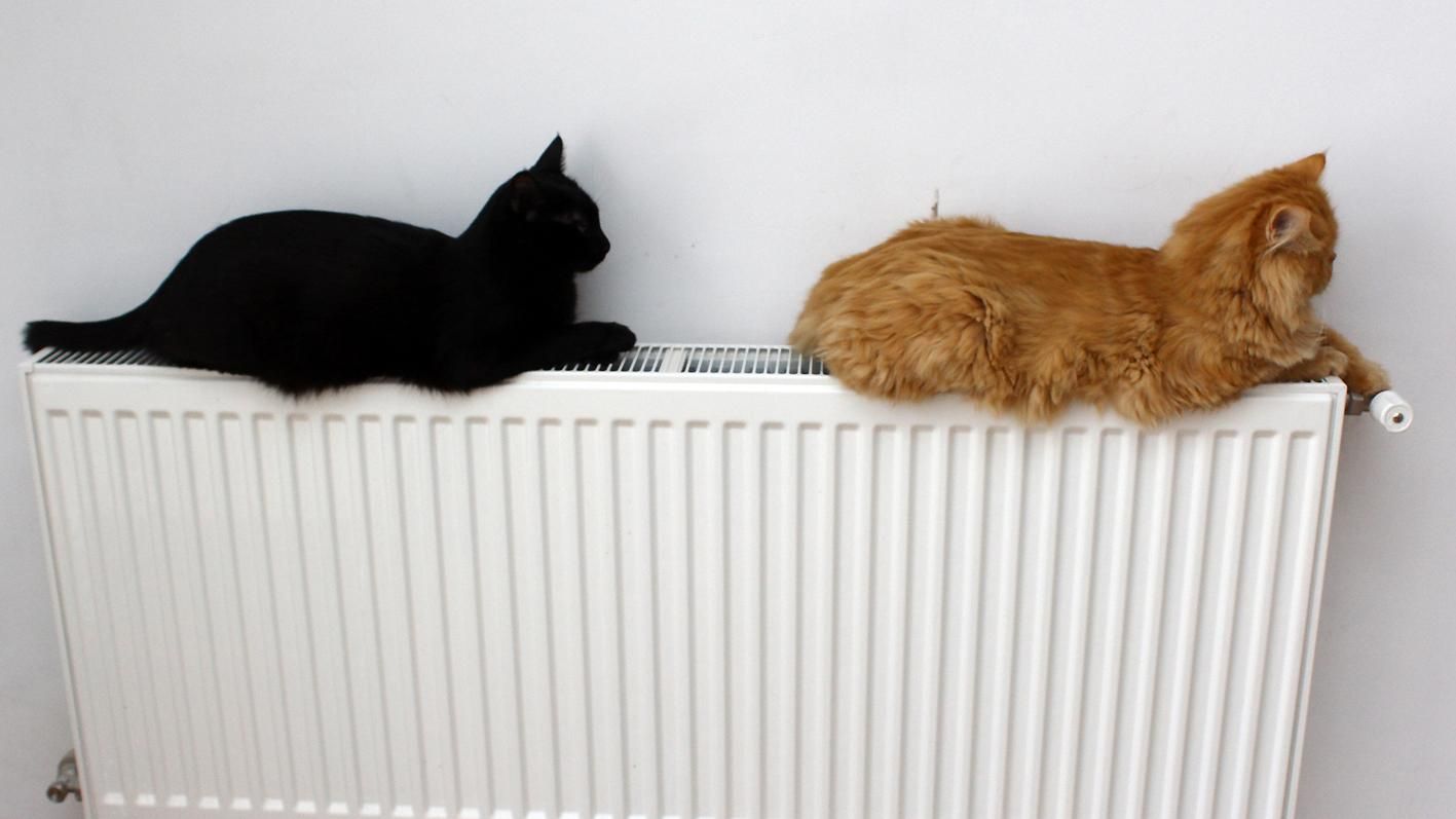 В Киеве отопление начали включать в жилых домах В Киеве отопление начали включать в жилых домах