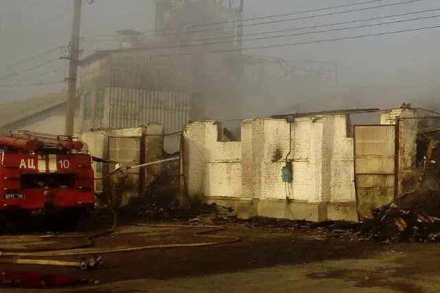 харків пшениця харків пшениця