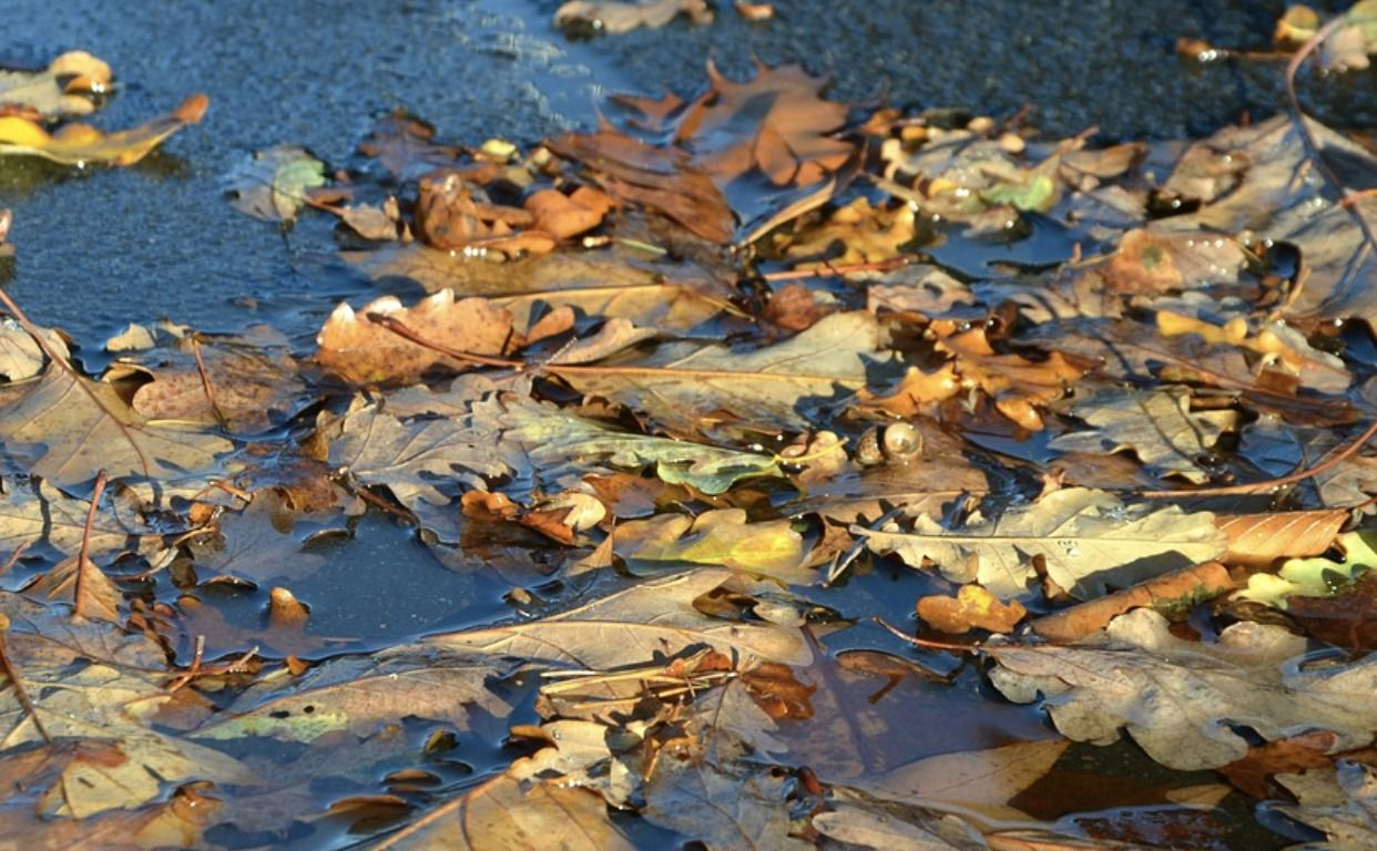 Погода 23 октября 2018 Украина - синоптик обещает дожди и холод