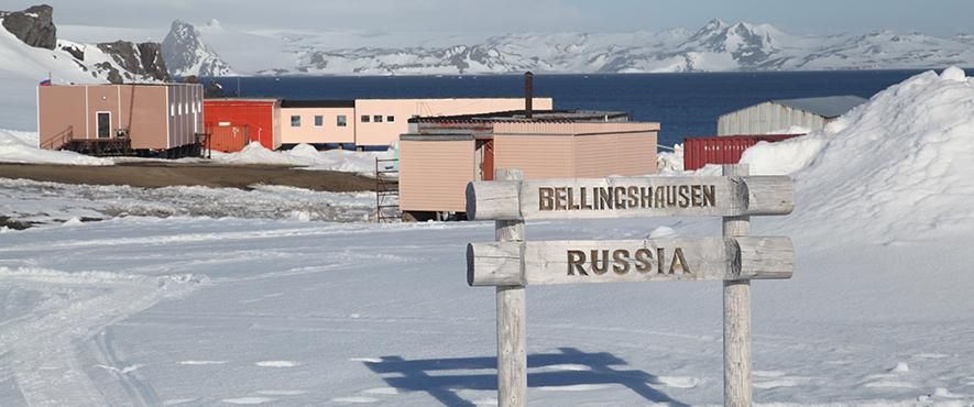 Российские полярники в Антарктиде устроили кровавую резню: подробности