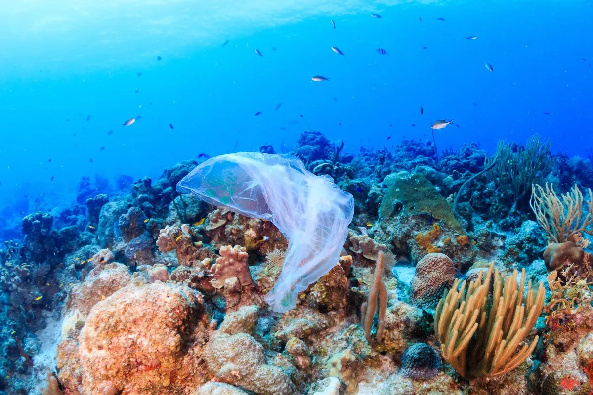 В океан потрапляє до 5% всього пластику