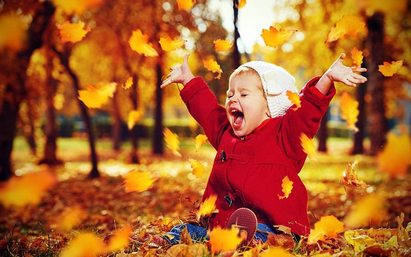 В Украину придет потепление и второе бабье лето: синоптики назвали дату В Украину придет потепление и второе бабье лето: синоптики назвали дату