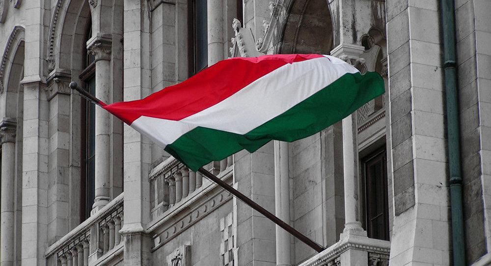 Скандал із угорськими паспортами: Україна створить нову "транскордонну" посаду