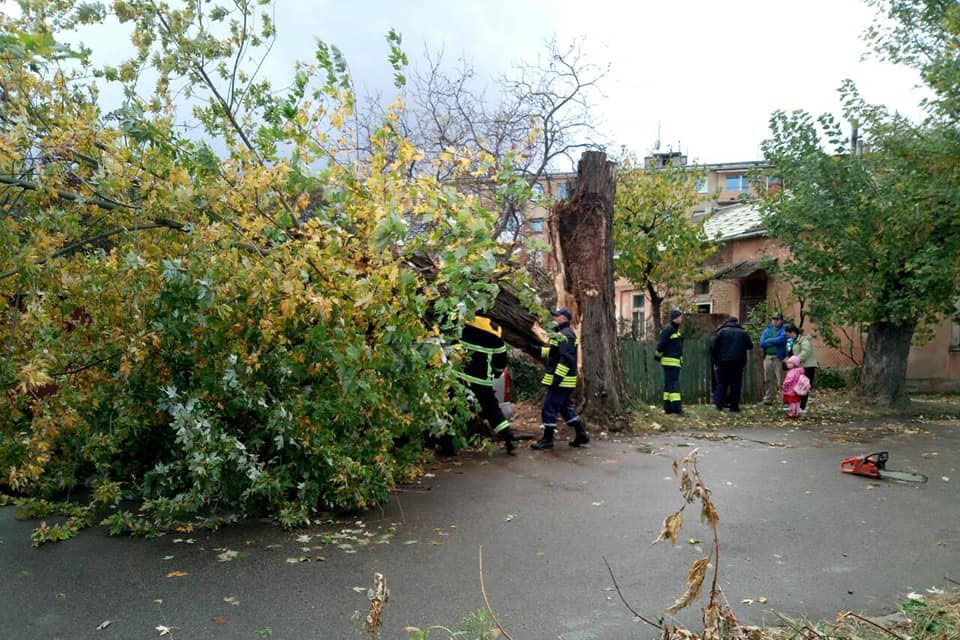 В Ужгороді сильний буревій повалив дерева і наробив шкоди: фото та відео