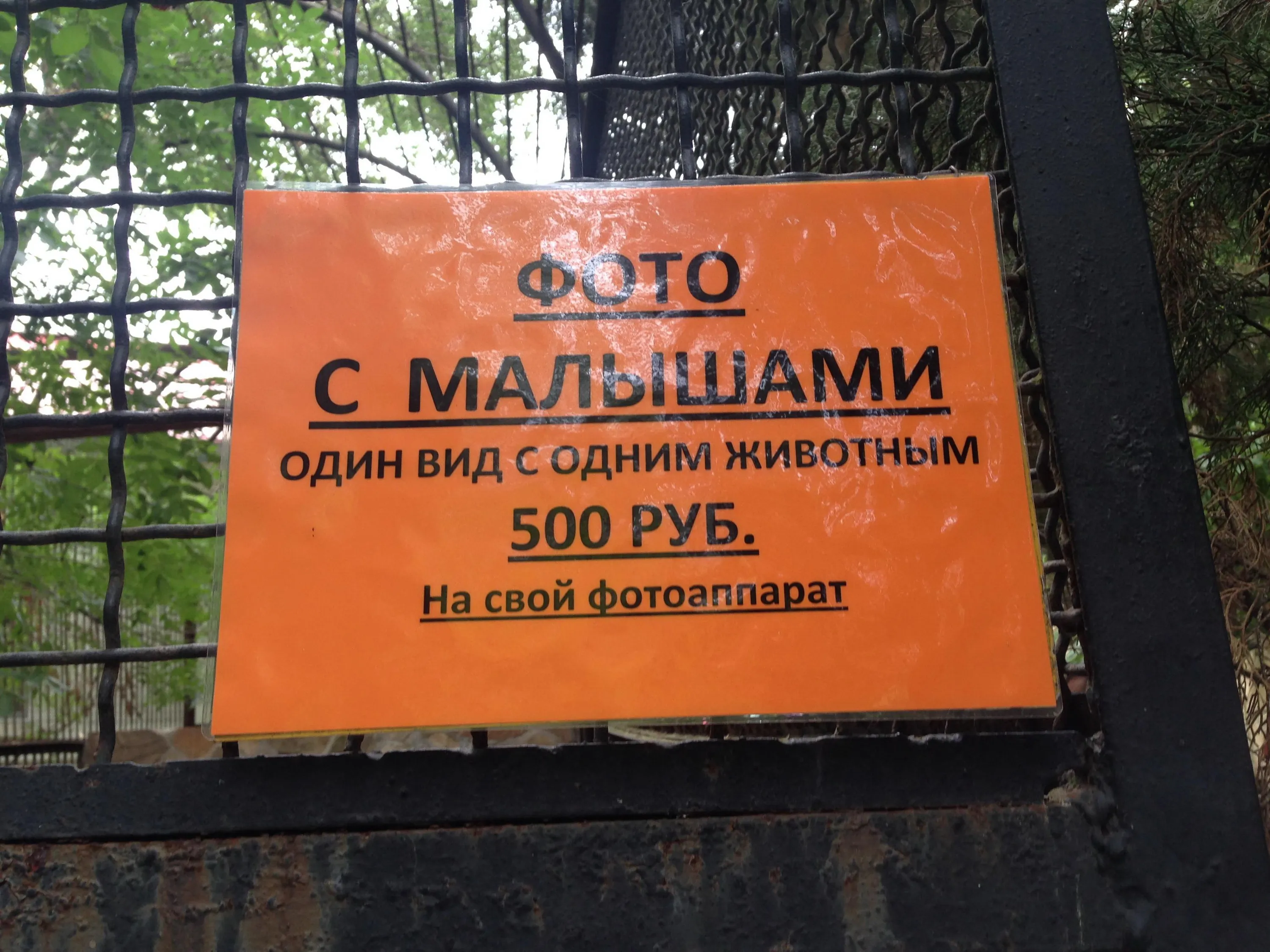 Отдых Отдых