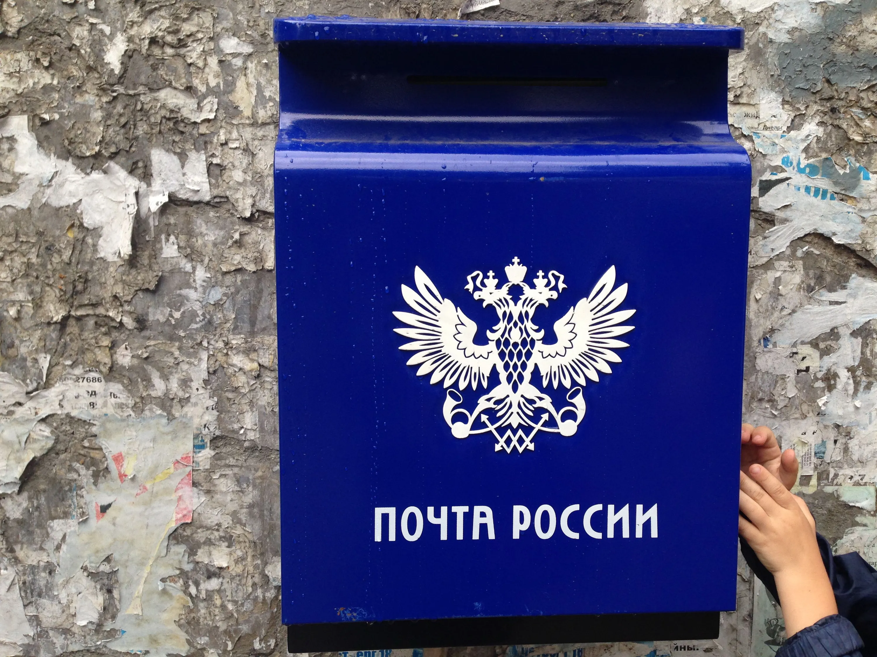 Те, у кого есть возможность выживают за деньги розственников из России Те, у кого есть возможность выживают за деньги розственников из России