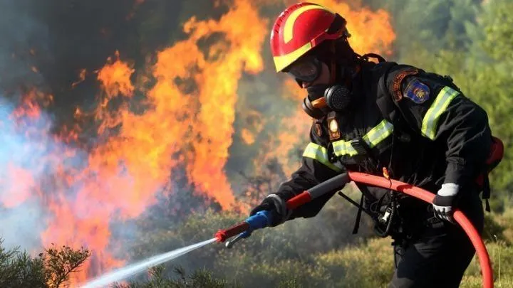 Пожежу на півострові Сітонія намагаються загасити 60 пожежників