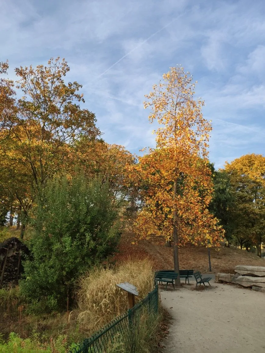 Xiaomi Mi Mix 3 Xiaomi Mi Mix 3