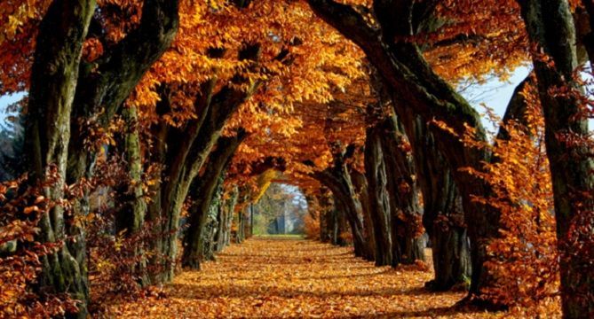 Погода 28 жовтня 2018 Україна - прогноз синоптиків Погода 28 жовтня 2018 Україна - прогноз синоптиків