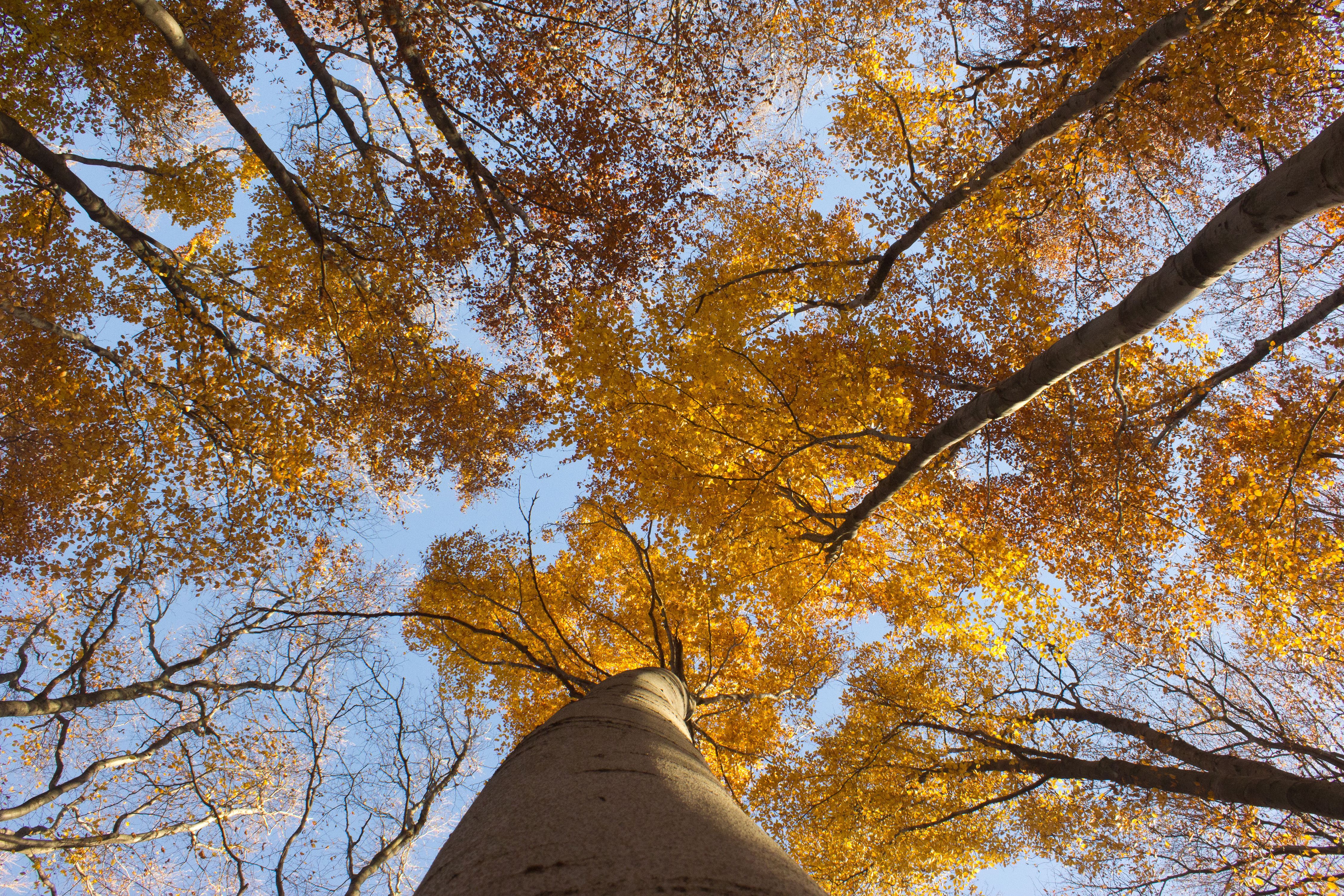 Погода 27 жовтня 2018 Україна: синоптики обіцяють тепло Погода 27 жовтня 2018 Україна: синоптики обіцяють тепло
