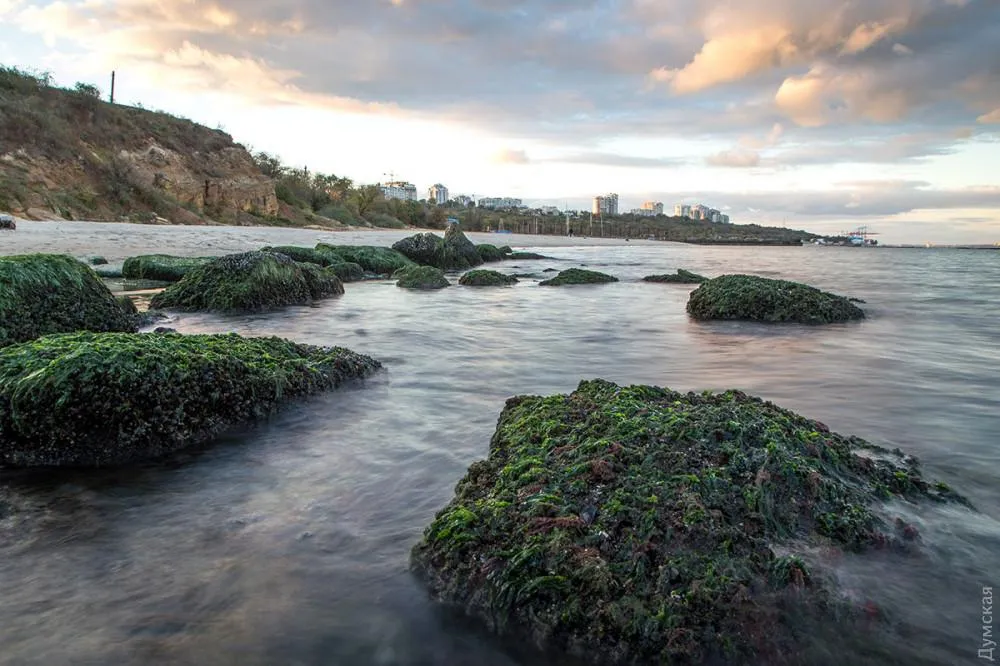 море відступило Одеса море відступило Одеса