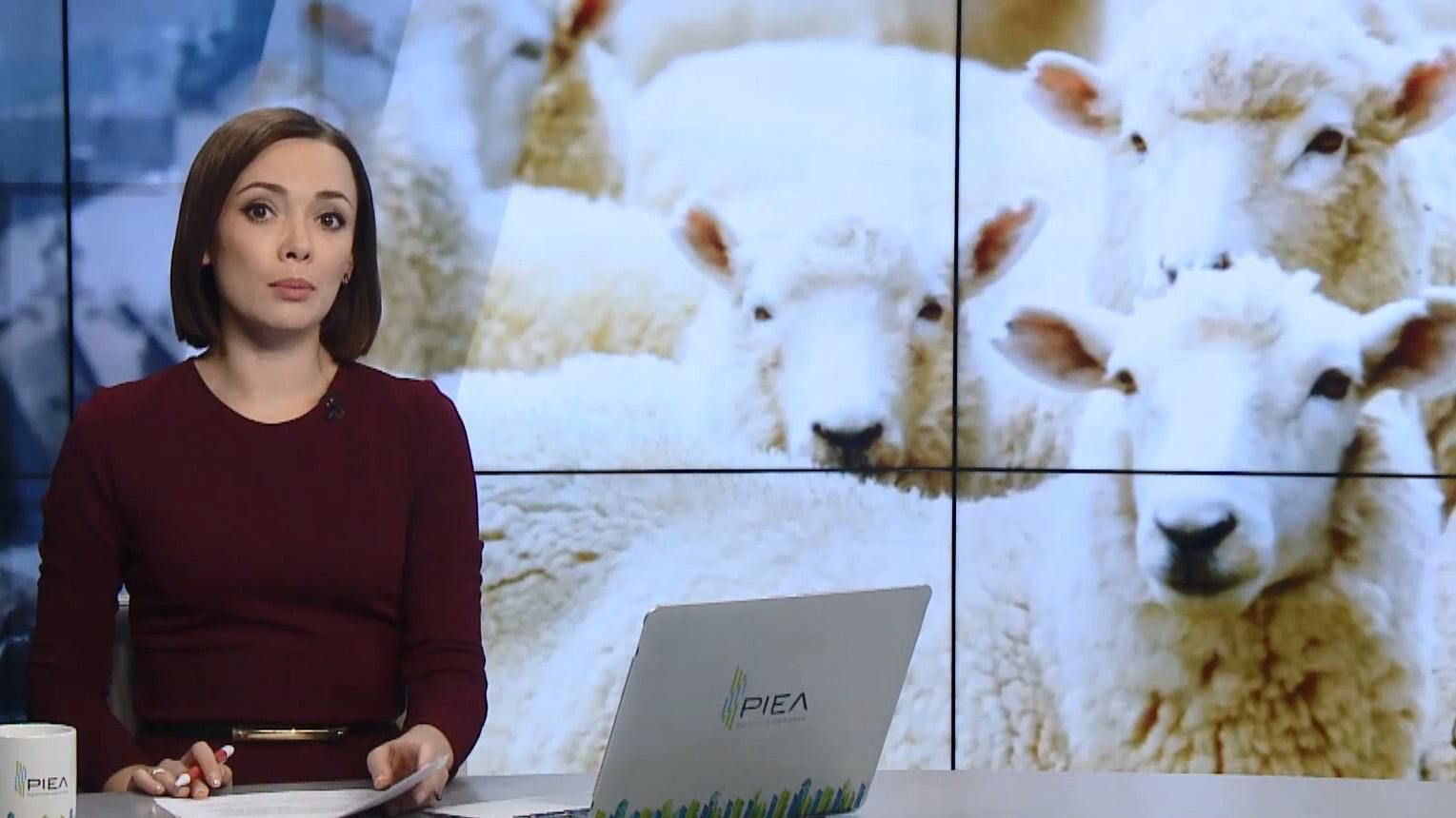 Выпуск новостей за 17:00: Спасение овец в Одесской области. Убийство журналиста Хашогги