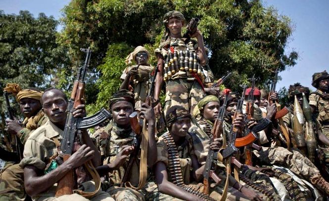 В ЦАР повстанцы поставили властям ультиматум из-за российских наемников В ЦАР повстанцы поставили властям ультиматум из-за российских наемников