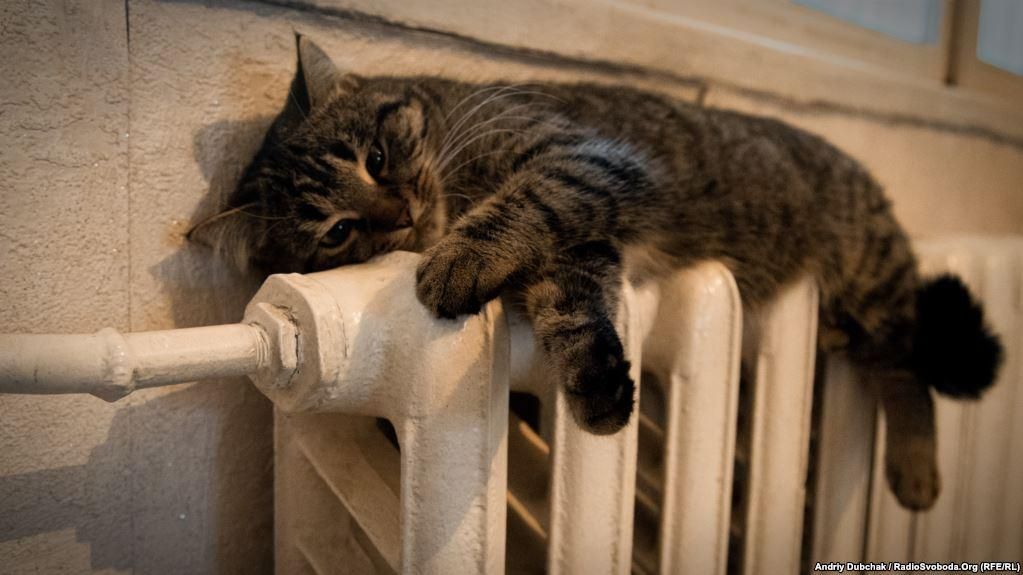 На Черкащині опалювальний сезон опинився під загрозою через мільйонні борги На Черкащині опалювальний сезон опинився під загрозою через мільйонні борги