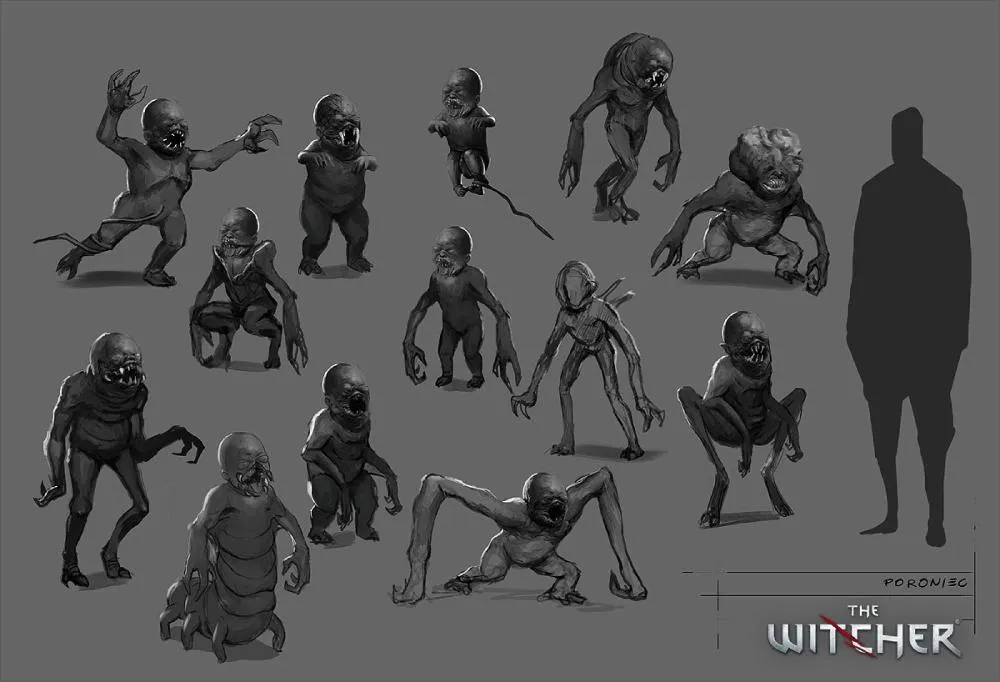 The Witcher The Witcher