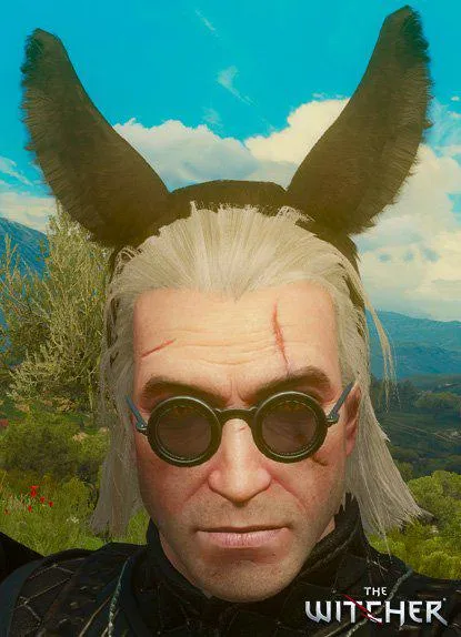 The Witcher The Witcher