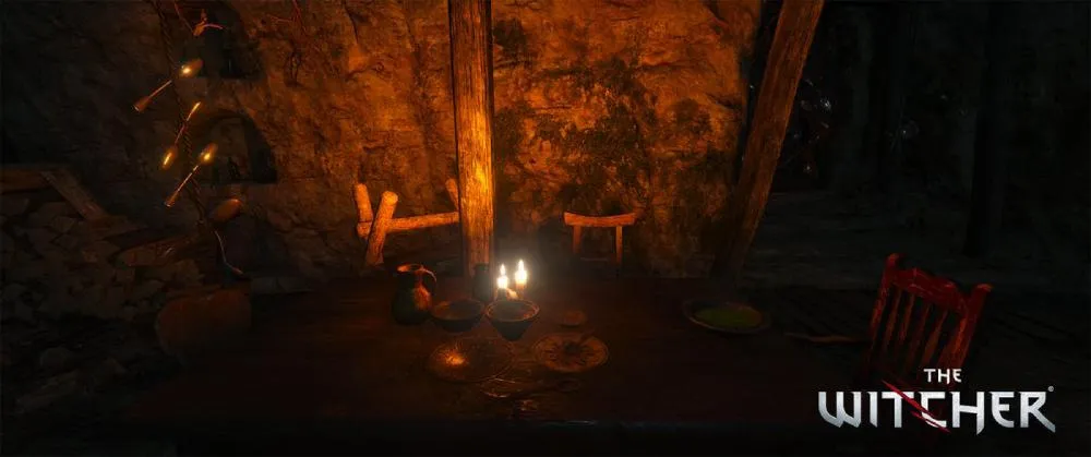 The Witcher The Witcher