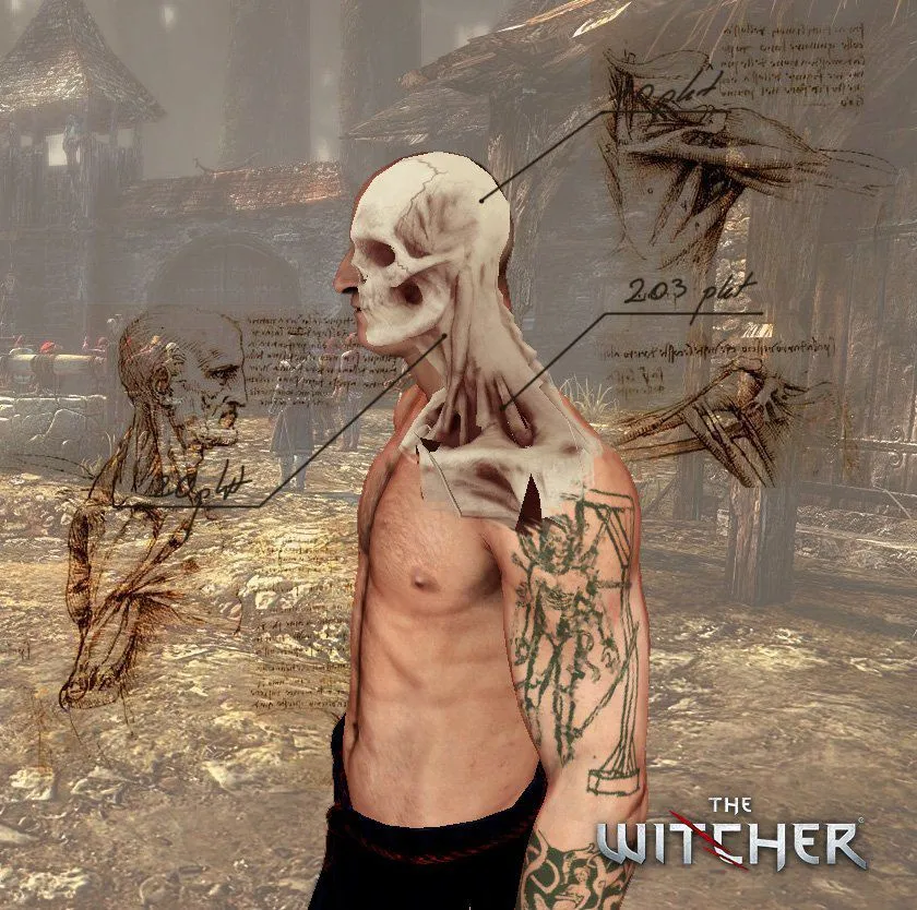 The Witcher The Witcher