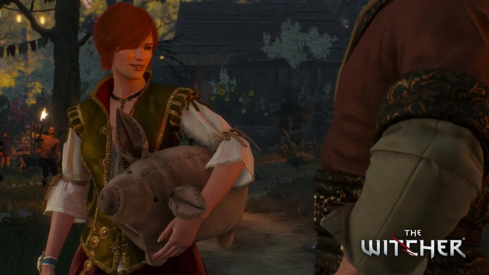 The Witcher The Witcher