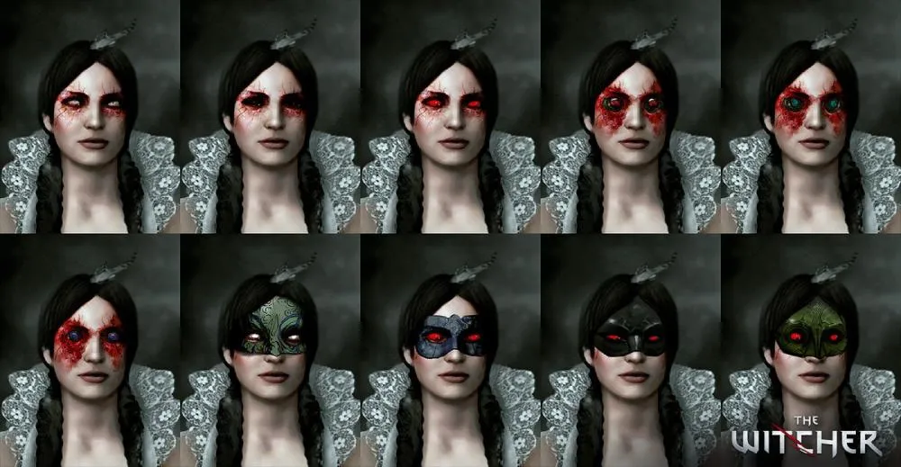 The Witcher The Witcher