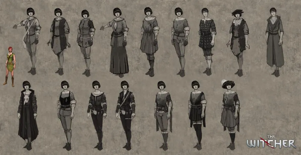 The Witcher The Witcher