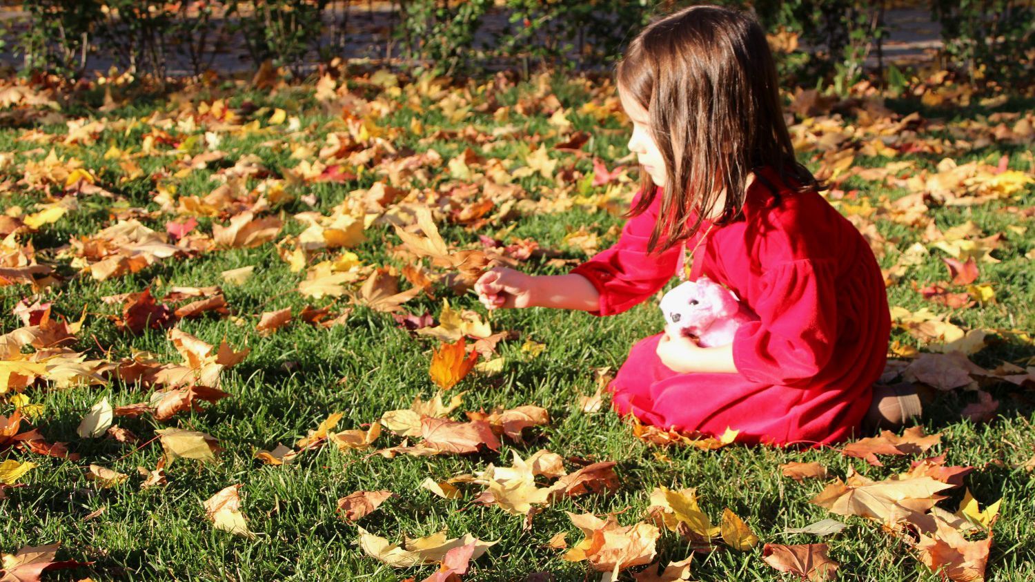 Погода 30 октября 2018 Украина - синоптик обещает тепло Погода 30 октября 2018 Украина - синоптик обещает тепло