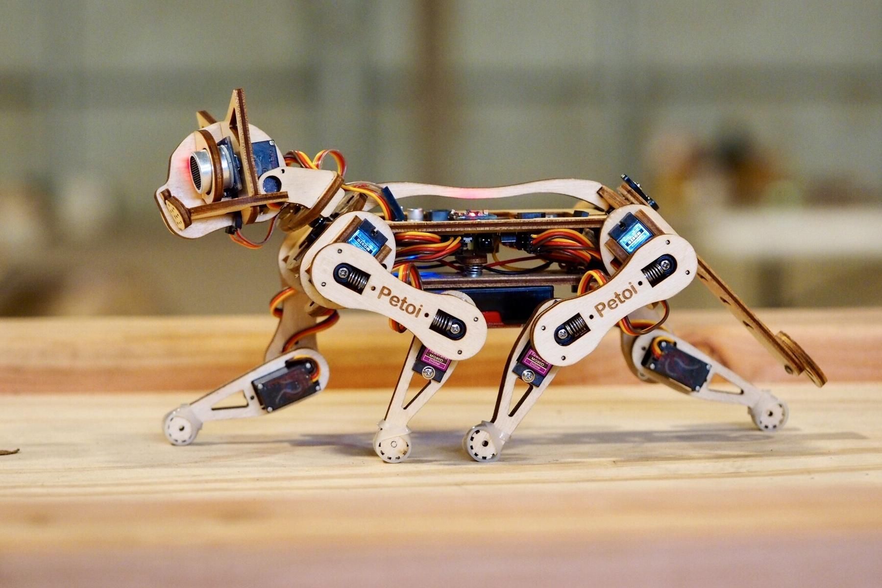 Створили роботизовану кішку, яка може навчатись 
