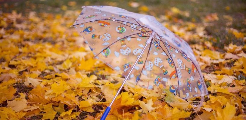 Погода 2 листопада 2018 Україна - що обіцяють синоптики Погода 2 листопада 2018 Україна - що обіцяють синоптики